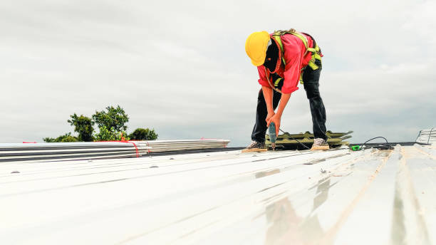 Best Roof Insulation Installation  in Ashton, ID